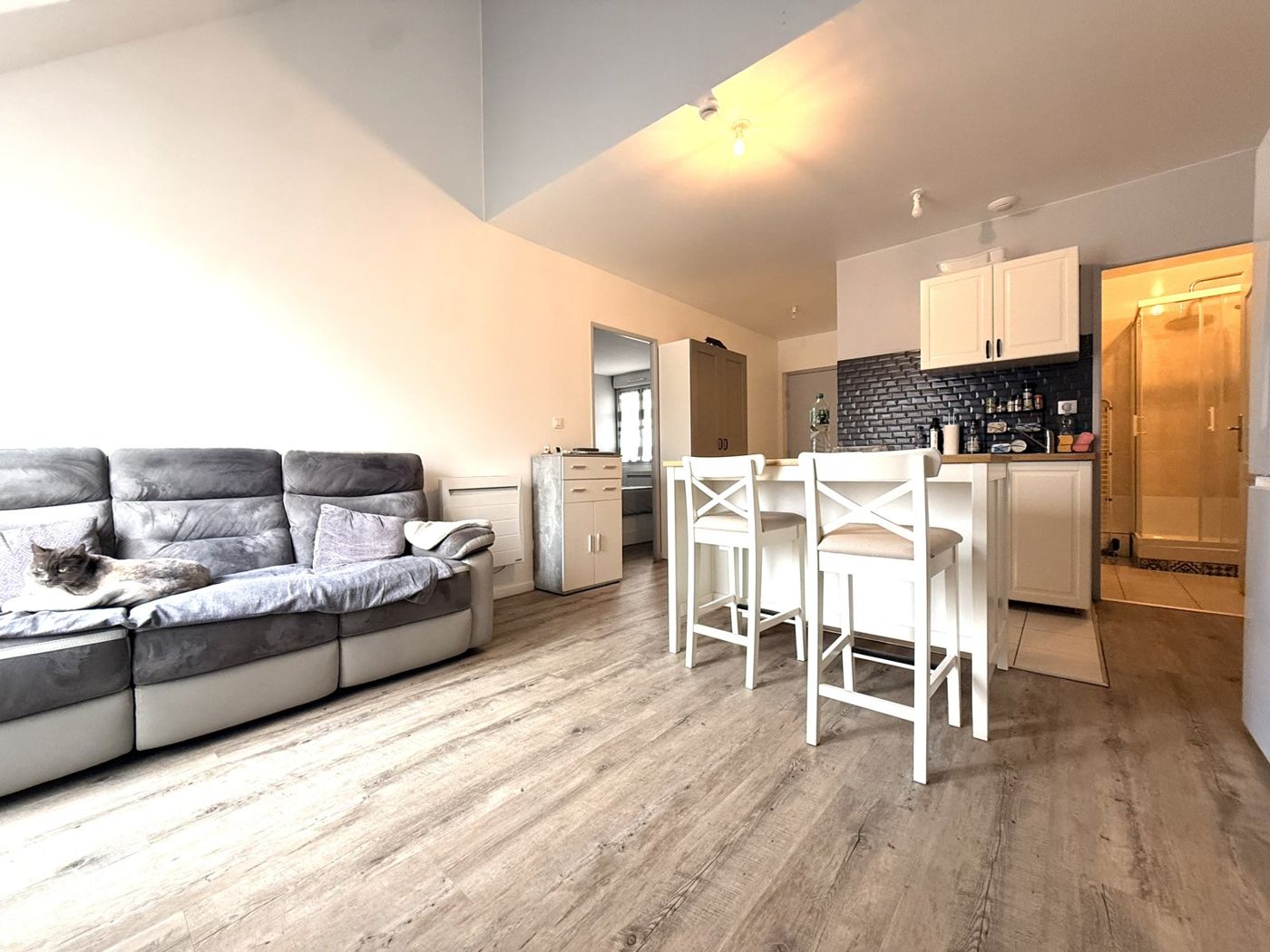 Séjour de l'appartement vendu à La Ferté-sous-Jouarre